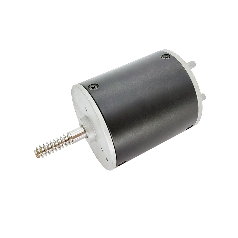 24V 36V BL6070 Breatherovy motor pro kávovary a mlýnky na fazole
